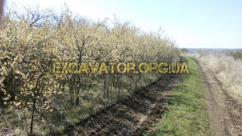 КОРЧУВАННЯ САДІВ – С. НЕСТОІТА, ПОДІЛЬСЬКИЙ Р-Н., ОДЕСЬКА ОБЛ